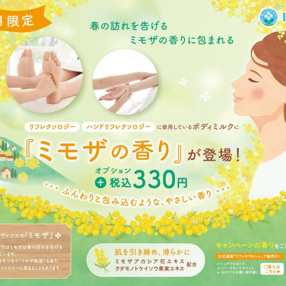 ミモザの香りで癒しを♬