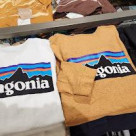 パタゴニアの秋物が入荷!!