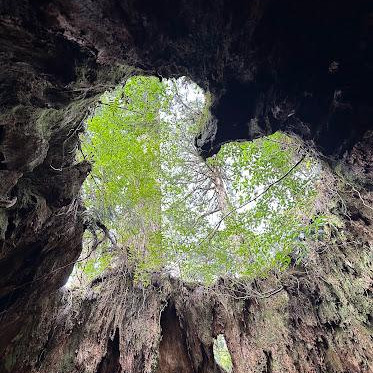 屋久島ミニ講座開催します！