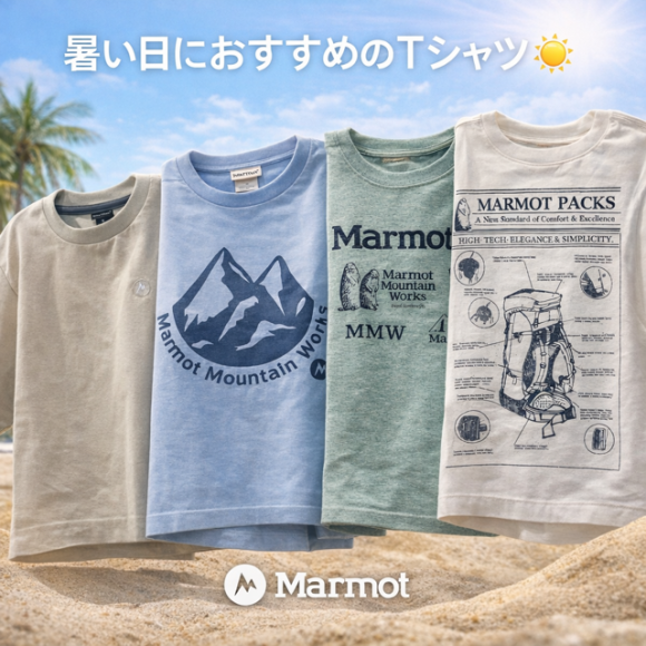 マーモットTシャツ