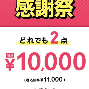 感謝祭どれでも2点10000円(税抜)