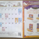 9월의 이벤트 스케줄