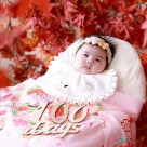 到12月14日!紅葉背景!