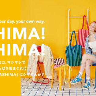 SHIMA!SHIMA! 第二弾 & 再入荷