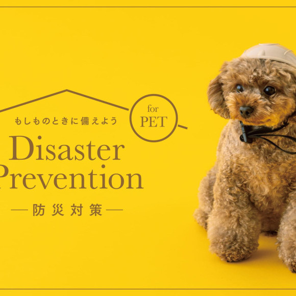 【PET】もしものときに備えるペットの防災グッズ