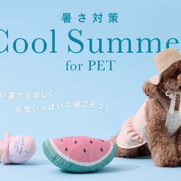 【新商品】ペットの暑さ対策アイテムで、夏を涼しく過ごそう