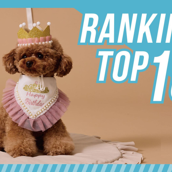 【330円(税込)／全商品別】週間ランキングTOP10