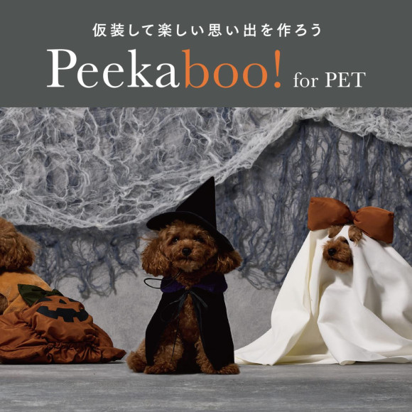 かわいさ満点！ペットのハロウィン仮装グッズ