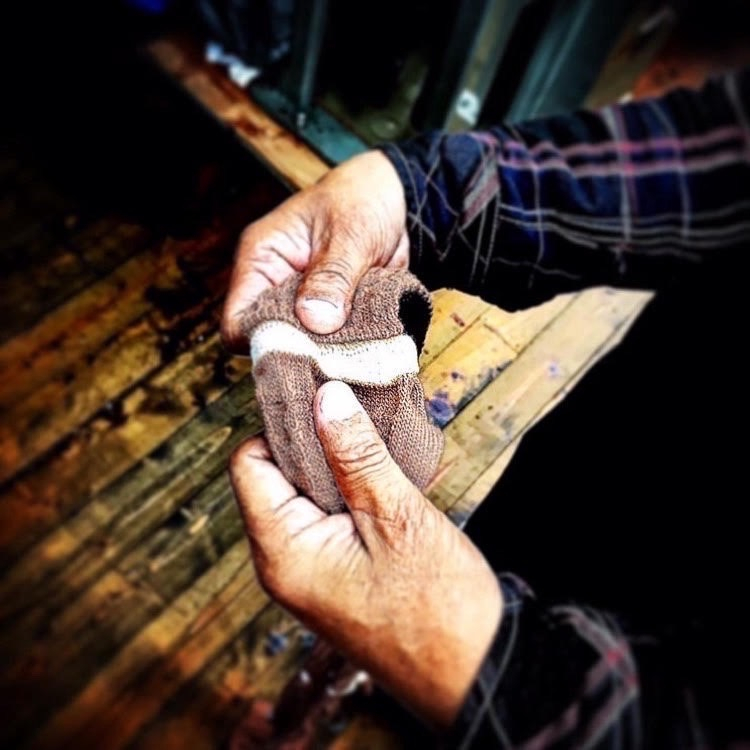 [Notice of Limited Time Shop] Maung Tenda Cherry