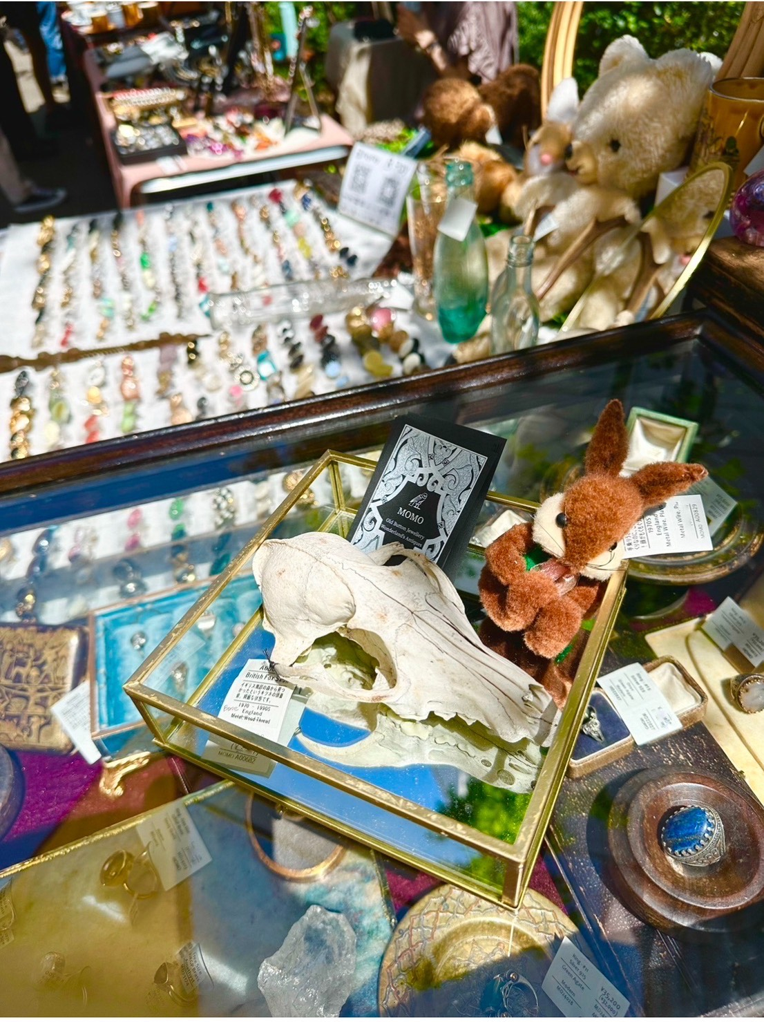 【期間限定ショップのお知らせ】ノミノイチin URAWA