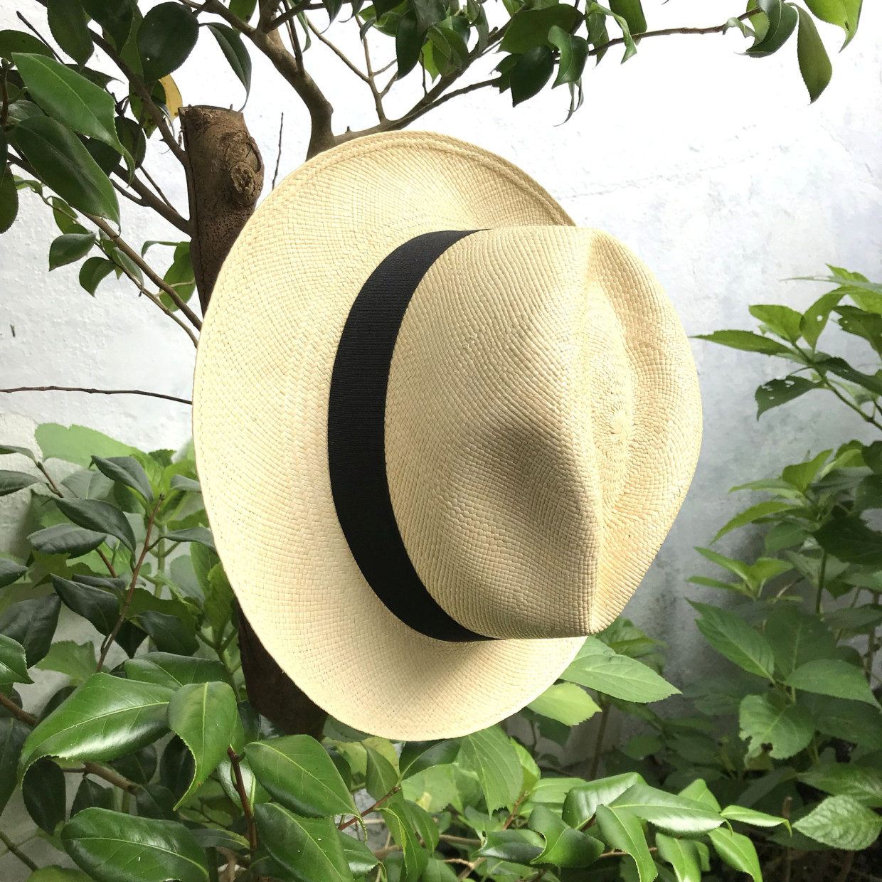 【期間限定ショップのお知らせ】つくりえ「世界のものがたりをつれてきた」